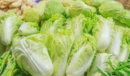 吉林大白菜爆料事件视频,真相究竟如何？